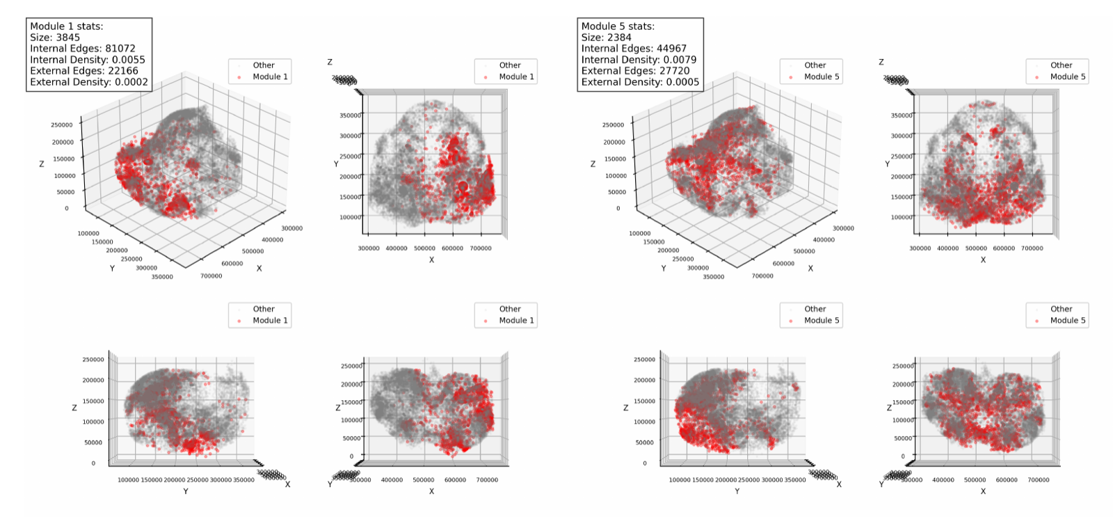 Three-view projections of two Infomap modules within the Drosophila connectome.